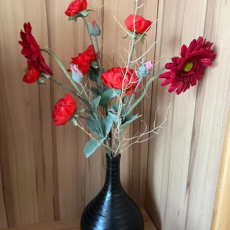 Hoefthus 8 Alt Reddevitz