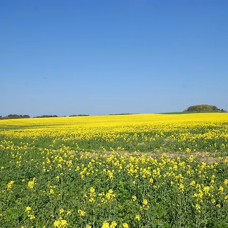 Hoefthus 8 Apartament *