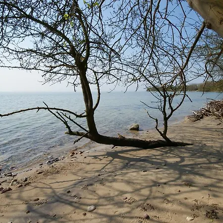 Hoefthus 8 Apartament