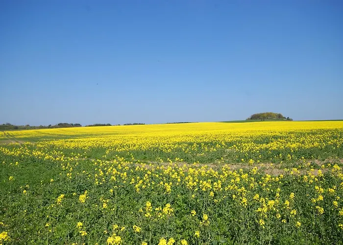 Hoefthus 8 Apartamento *