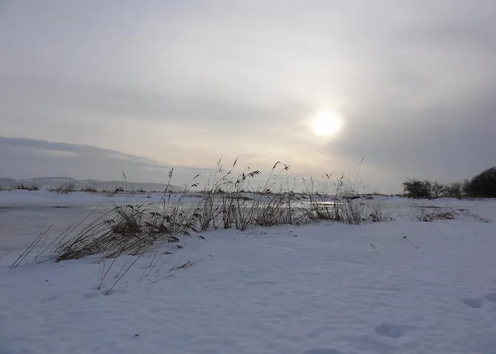 Hoefthus 8 Apartamento *