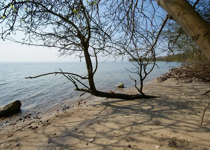 Hoefthus 8 Apartamento